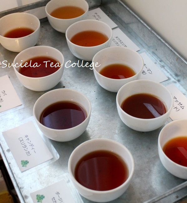 紅茶コーディネーターコース最終回 紅茶教室 Suciela Tea スシーラ ティー